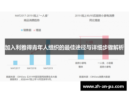 加入利雅得青年人组织的最佳途径与详细步骤解析