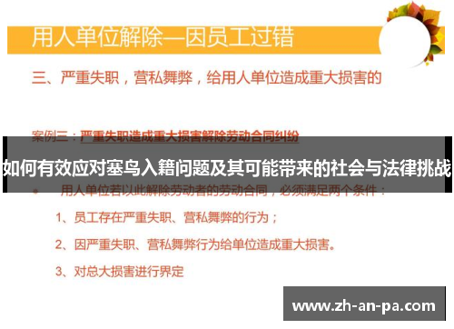 如何有效应对塞鸟入籍问题及其可能带来的社会与法律挑战