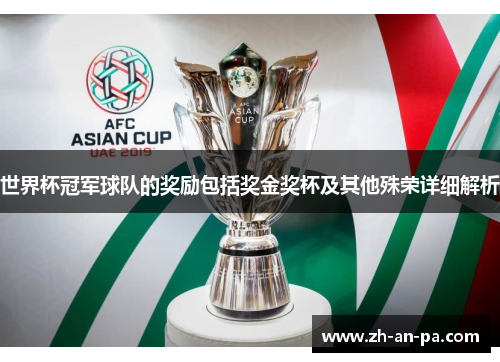 世界杯冠军球队的奖励包括奖金奖杯及其他殊荣详细解析