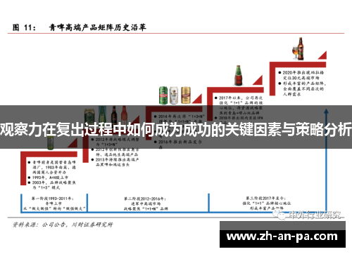 观察力在复出过程中如何成为成功的关键因素与策略分析