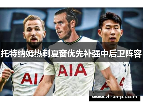 托特纳姆热刺夏窗优先补强中后卫阵容