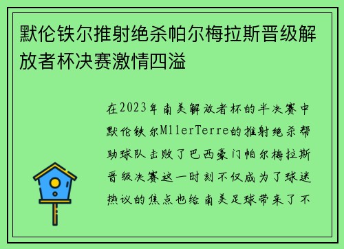 默伦铁尔推射绝杀帕尔梅拉斯晋级解放者杯决赛激情四溢